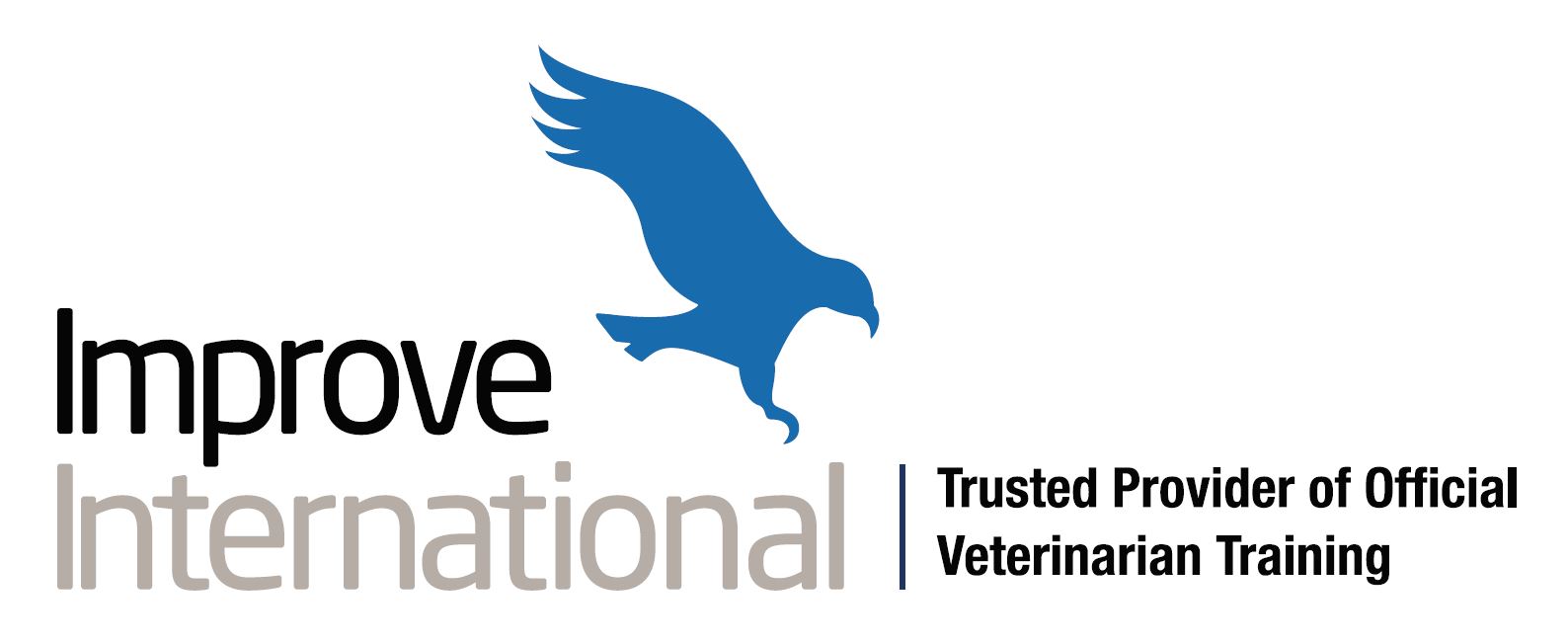 Improve International Logo