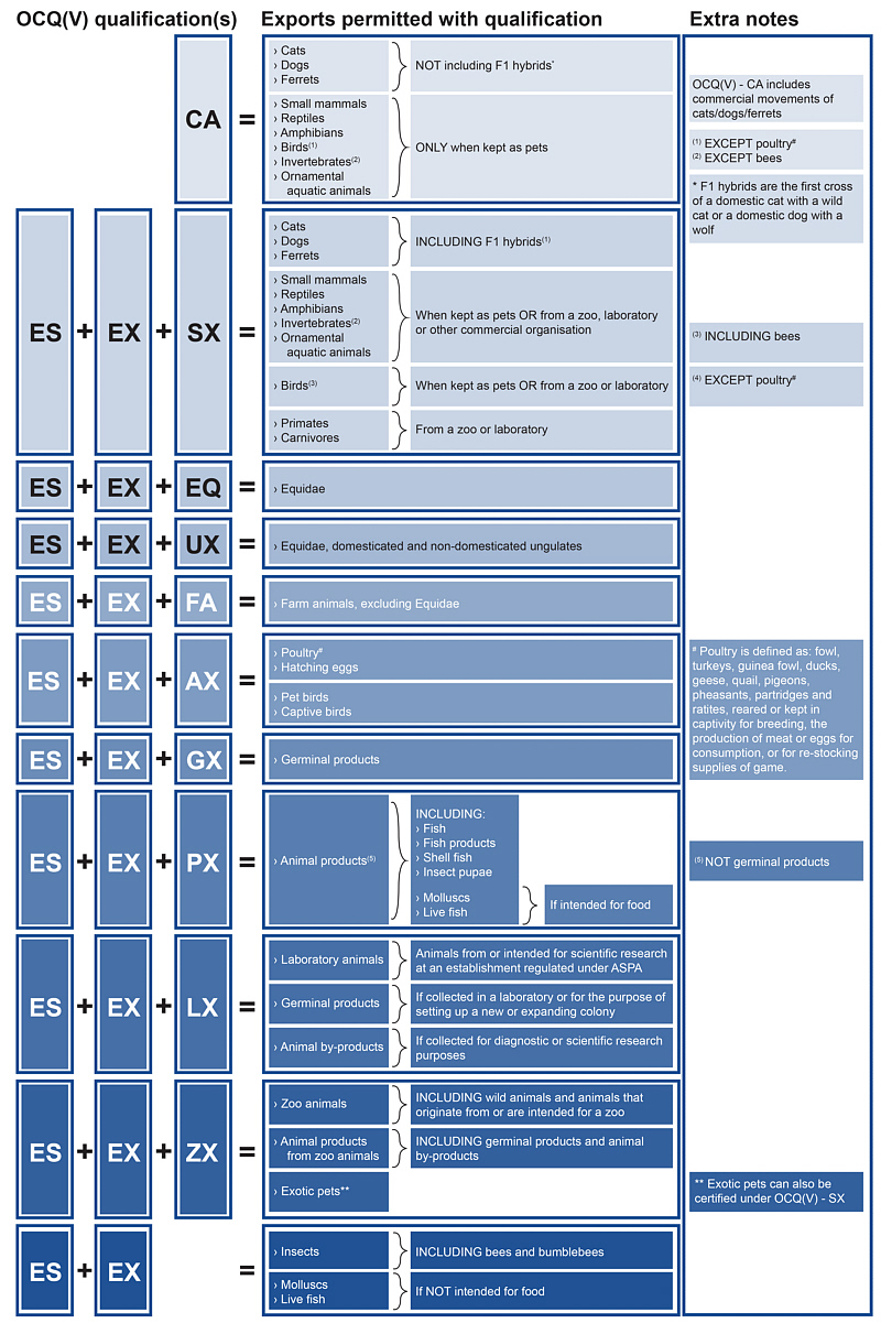 Exports Diagram
