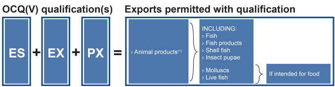 Qualification Permitted Exports